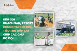 Kêu gọi khách sạn, resort chung tay hỗ trợ tiêu thụ bắp cải giúp các chú bộ đội
