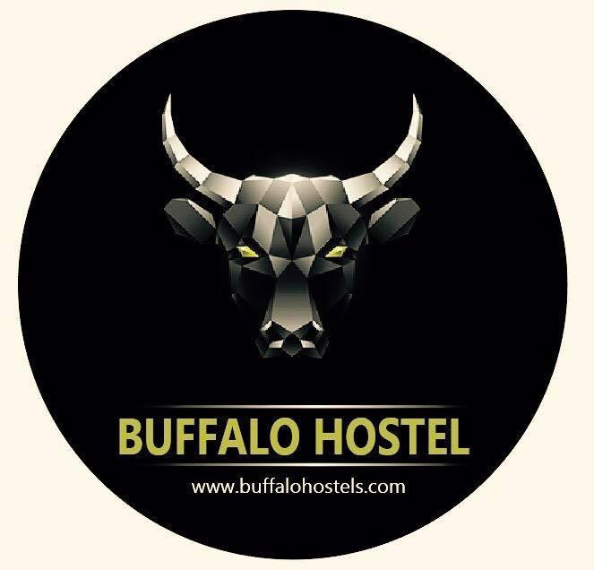 Hanoi Buffalo Hostel