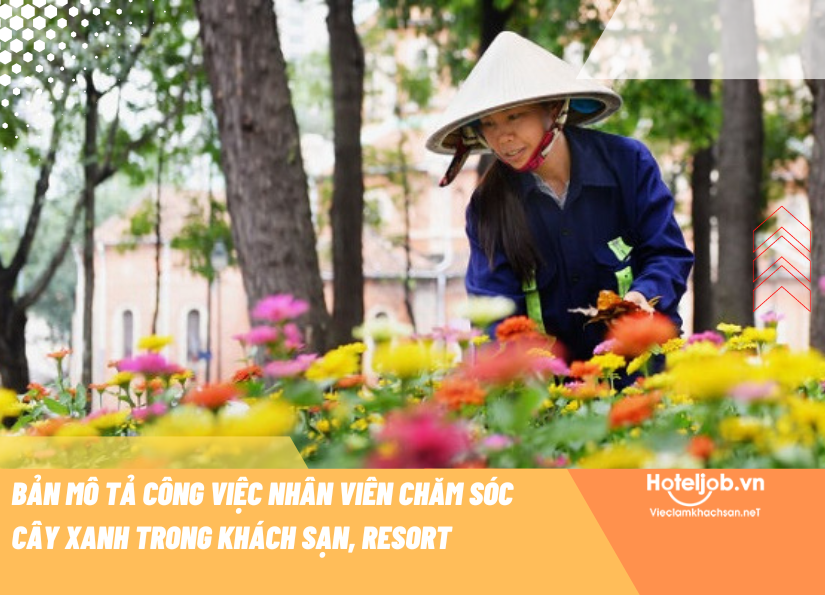 MÔ HÌNH CHĂM SÓC TOÀN DIỆN Hiệu quả tỏa lan  An toàn người bệnh  hihvn