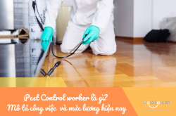 Pest Control worker là gì? Mô tả công việc Pest Control worker trong khách sạn và mức lương hiện nay