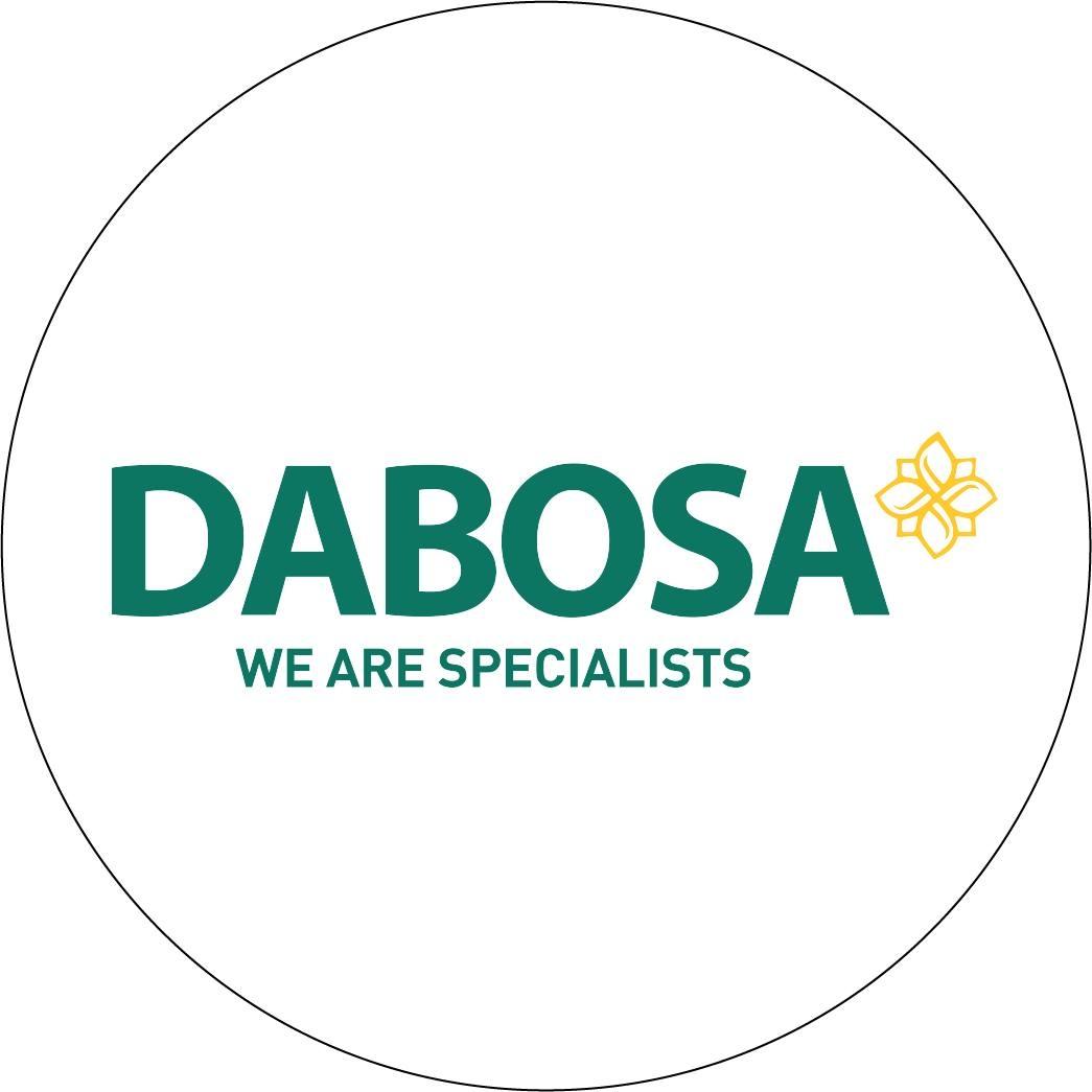 Dabosa Travel 