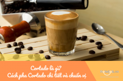 Cortado là gì? Cách pha Cortado chi tiết và chuẩn vị