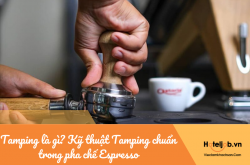 Tamping là gì? Kỹ thuật Tamping chuẩn trong pha chế Espresso