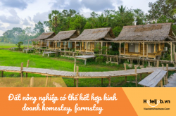 Đất nông nghiệp có thể kết hợp kinh doanh homestay, farmstay theo Luật mới